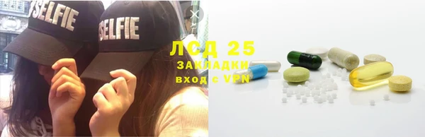 PSILOCYBIN Белокуриха