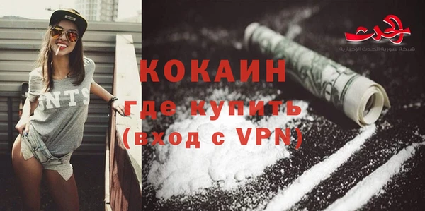 индика Белоозёрский
