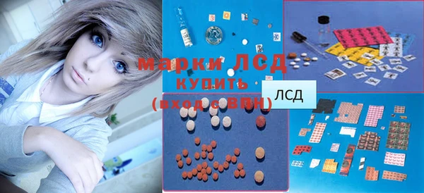 индика Белоозёрский