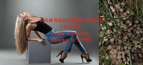 a pvp Сосновка