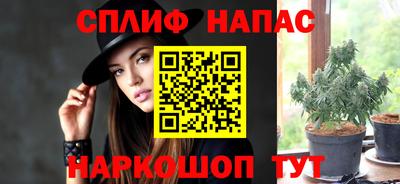 прущие грибы Лесосибирск