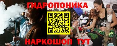 прущие грибы Лесосибирск