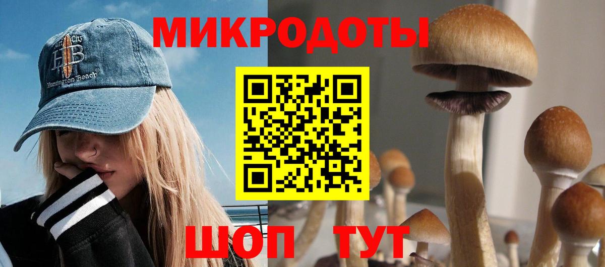 Псилоцибиновые грибы Psilocybe Видное